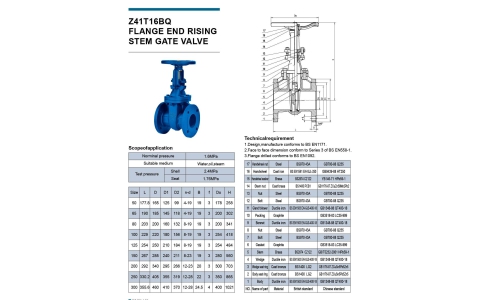 FLANGE RISING Z41T16BQ