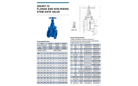 FLANGE_2DZ45T-10