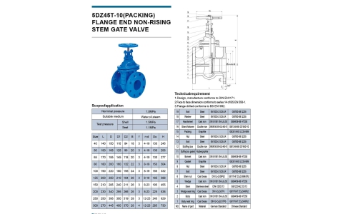 FLANGE_5DZ45T-10(PACKING)