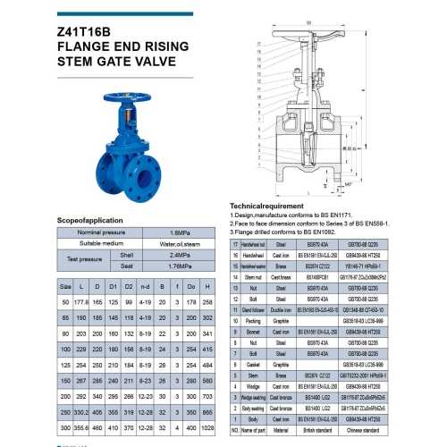 FLANGE RISING VALVE 241T16B
