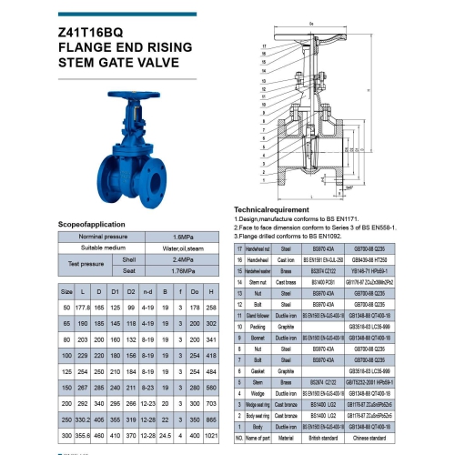 FLANGE RISING Z41T16BQ