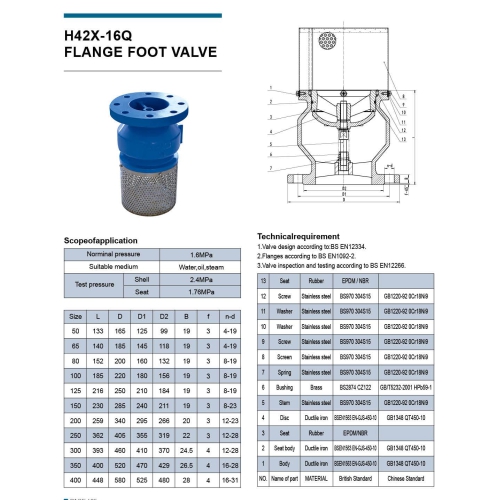 FLANGE_FOOT_VALVE_H42X-16Q